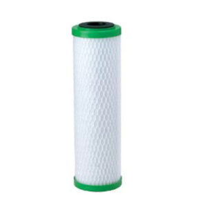 Pentek CBR2 10-155268-43 Filter
